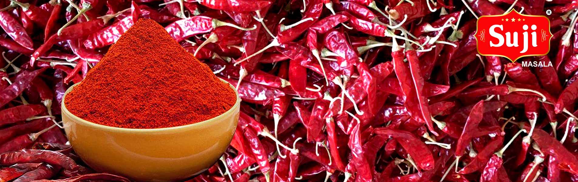 Shop Our New Collection